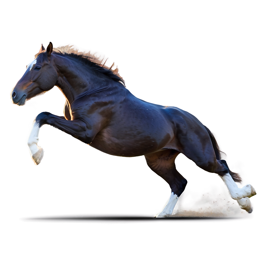 Horse Sprinting Full Speed Png Pxe PNG image