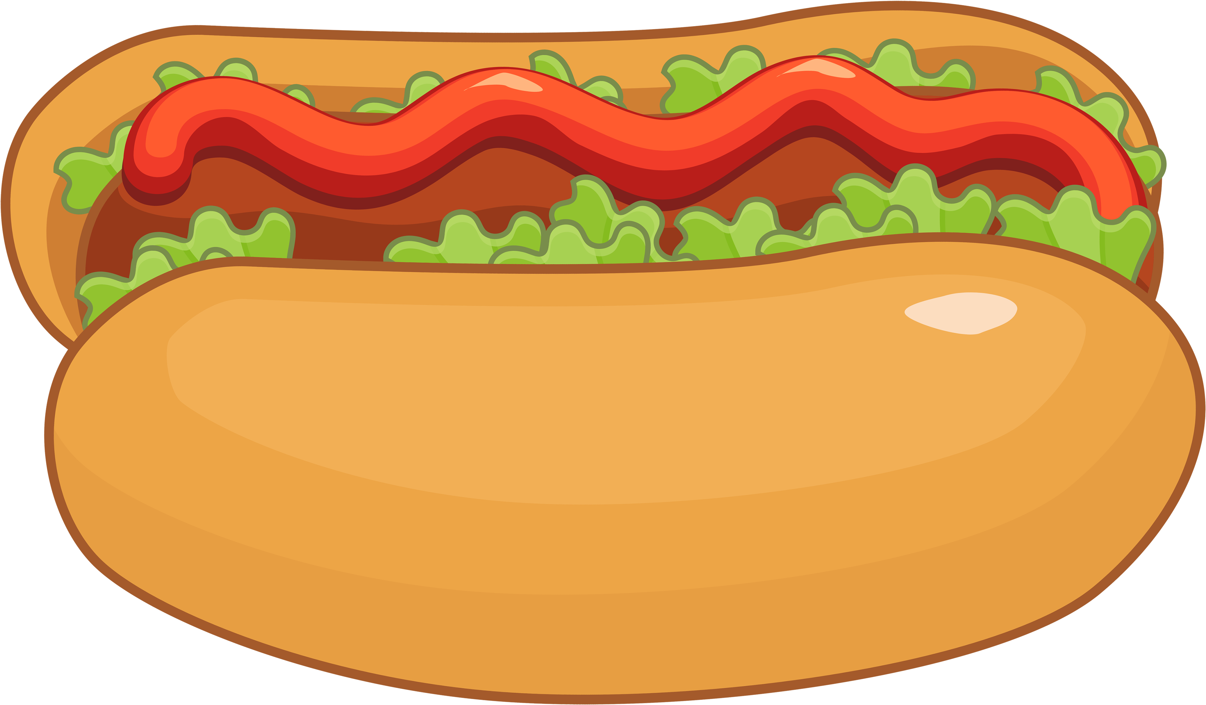 Hot Dog With Ketchupand Lettuce PNG image