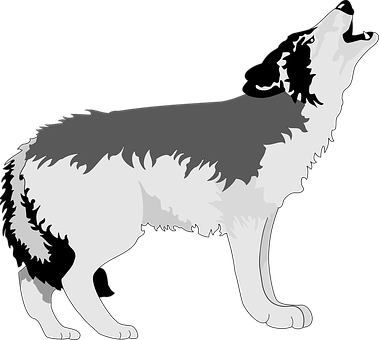 Howling Wolf Silhouette PNG image
