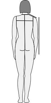 Human Body Silhouette Back View PNG image