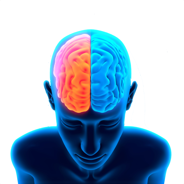Human Brain Activity Illustration PNG image