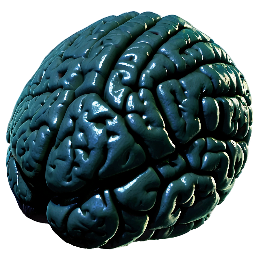 Human Brain And Exercise Png Lvh80 PNG image