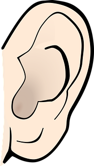 Human Ear Illustration PNG image