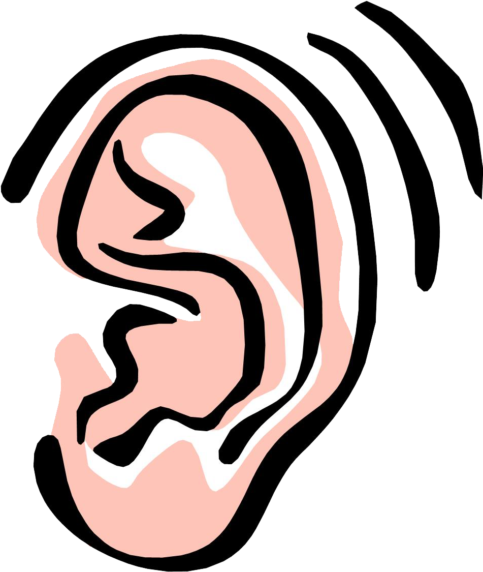 Human Ear Illustration.png PNG image