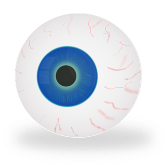 Human Eye Illustration PNG image