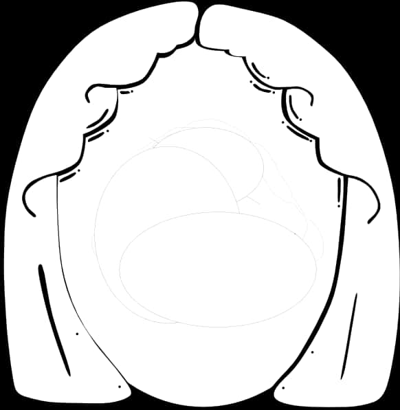 Human Face Outline Sketch PNG image