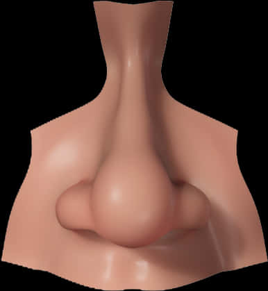 Human Nose Close Up3 D Render PNG image