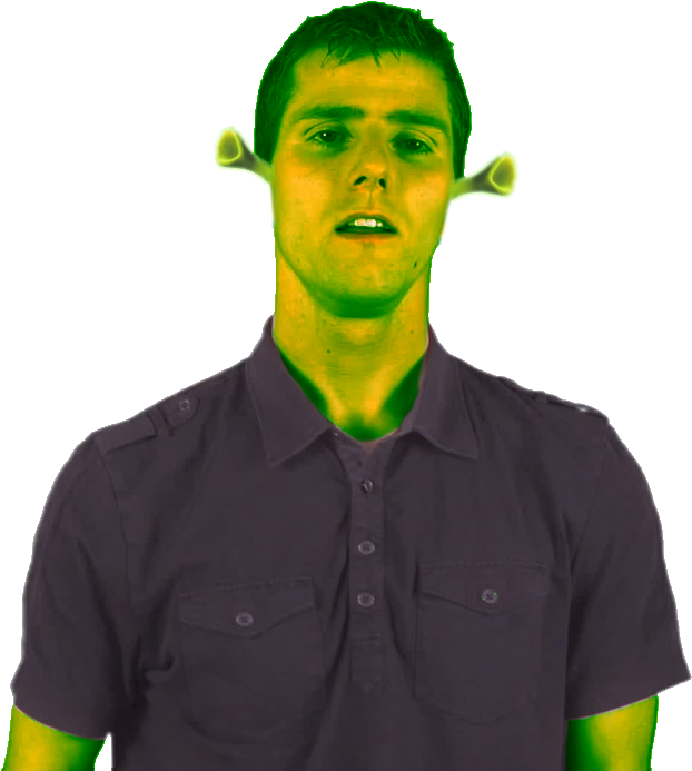 Human Shrek Hybrid Portrait PNG image