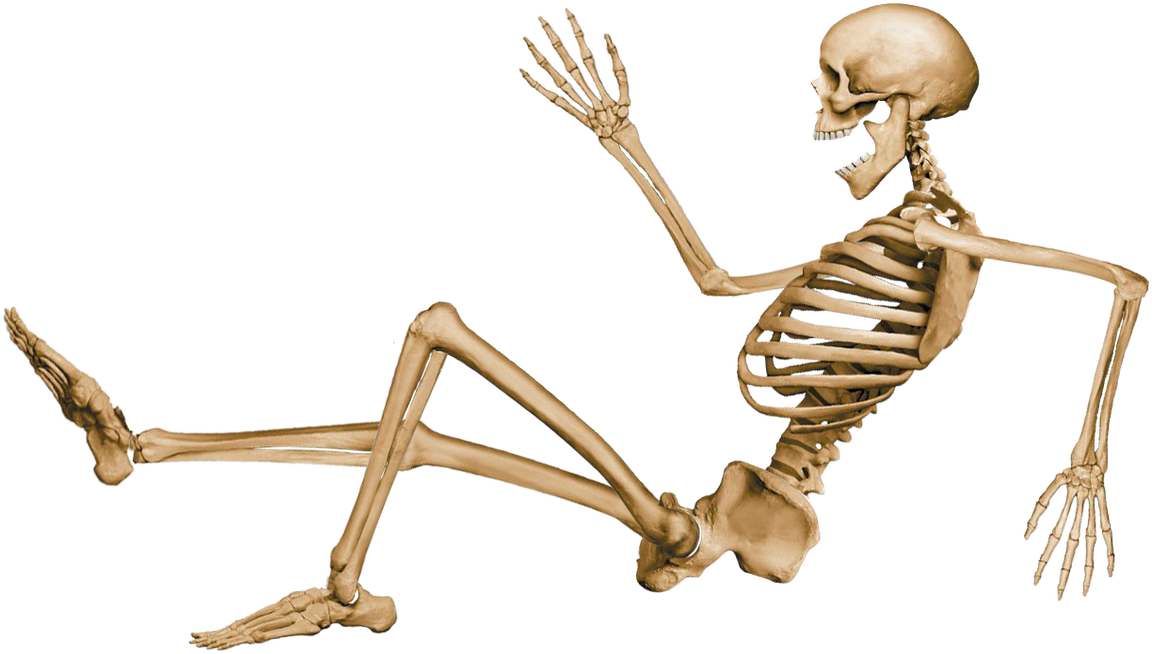 Human Skeleton Running Pose PNG image
