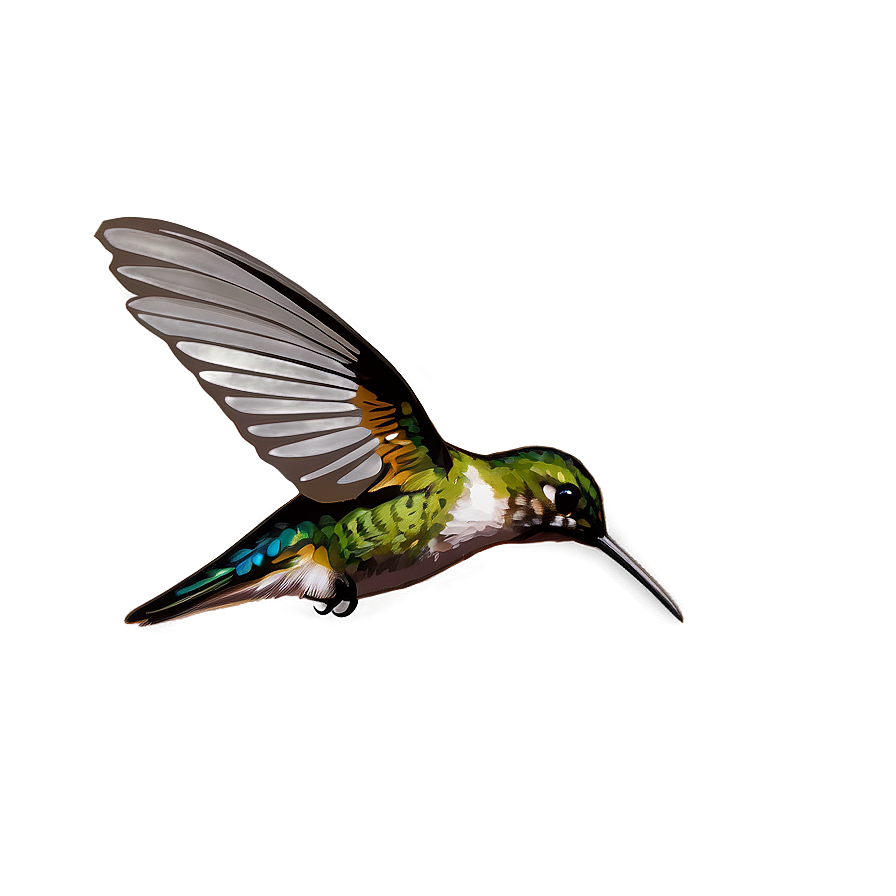 Hummingbird Hovering Png Mub PNG image