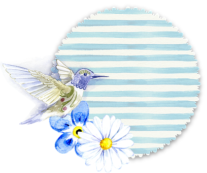 Hummingbirdand Daisy Watercolor PNG image