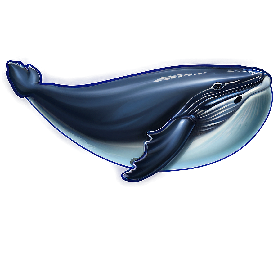 Humpback Whale Environmental Icon Png 63 PNG image