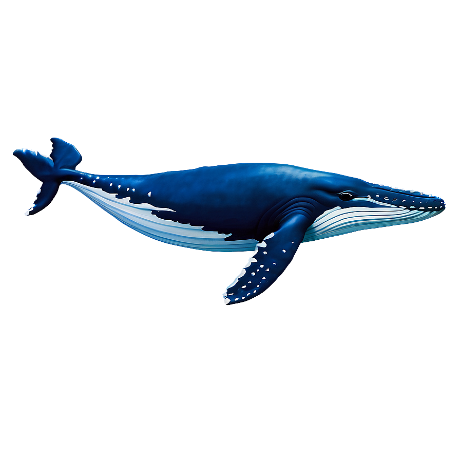 Humpback Whale Spirit Animal Png 50 PNG image