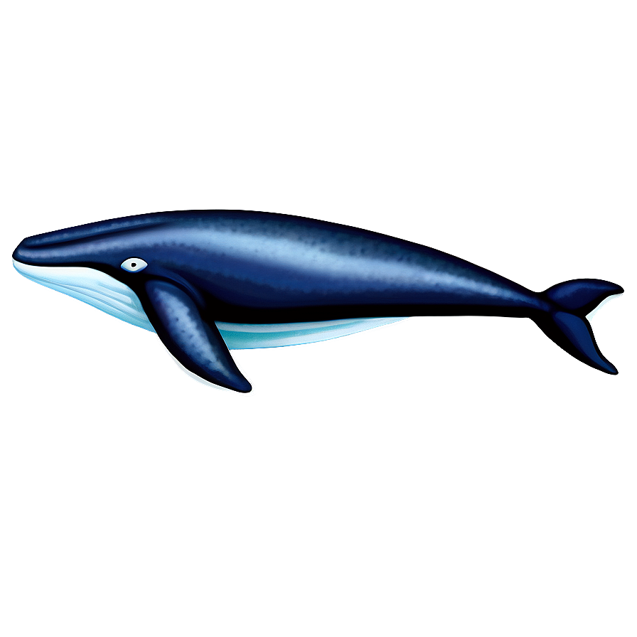 Humpback Whale Spirit Animal Png Efr64 PNG image