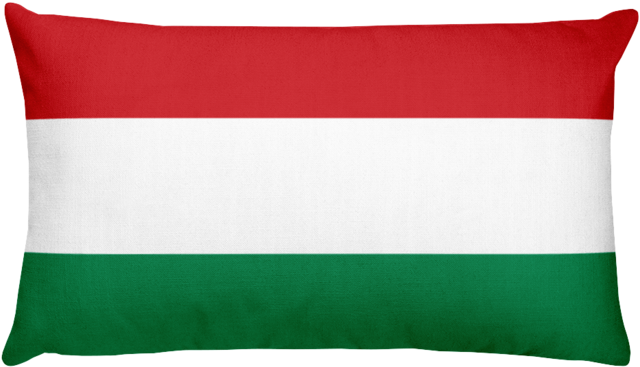 Hungarian Flag Pillow.jpg PNG image