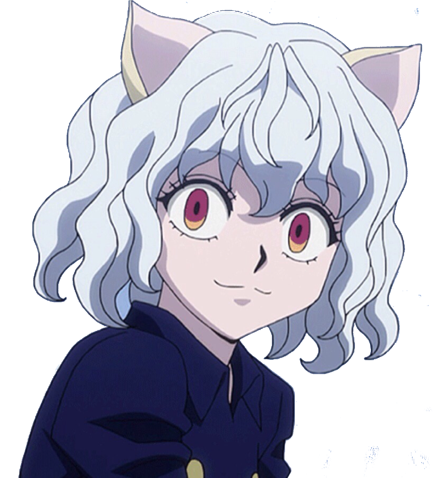 Hunter X Hunter Character With White Hairand Cat Ears PNG image