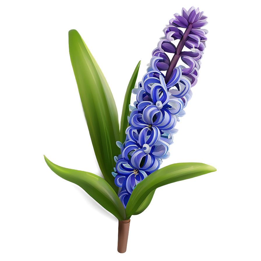 Hyacinth Flower Illustration Png 44 PNG image