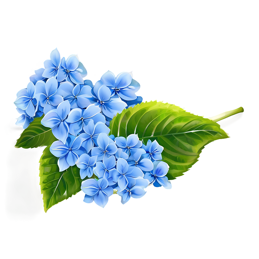 Hydrangea Background Png Uvd31 PNG image