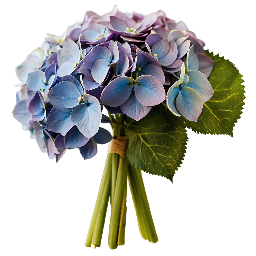 Hydrangea Bouquet Png 35 PNG image