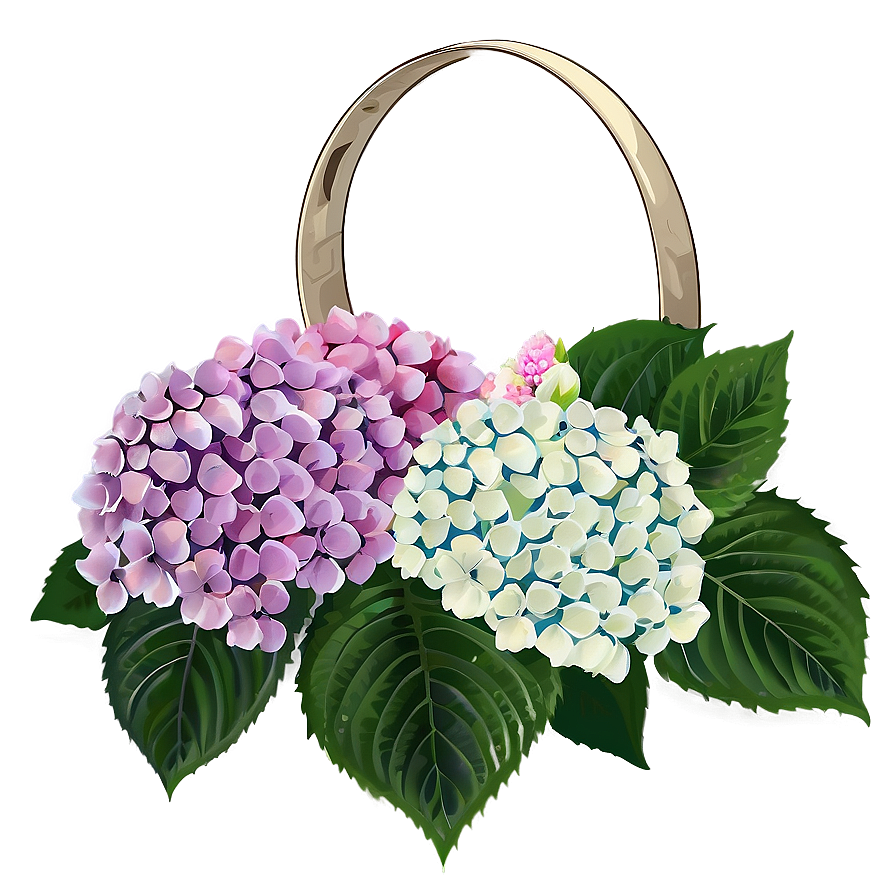 Hydrangea Wedding Png Opd16 PNG image