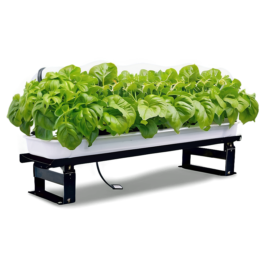 Hydroponic Vegetables Png Swj29 PNG image