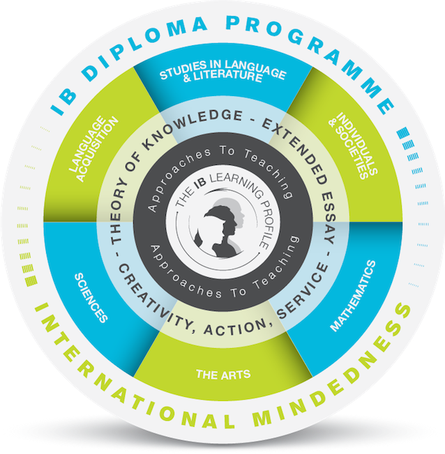 I B Diploma Programme Model PNG image