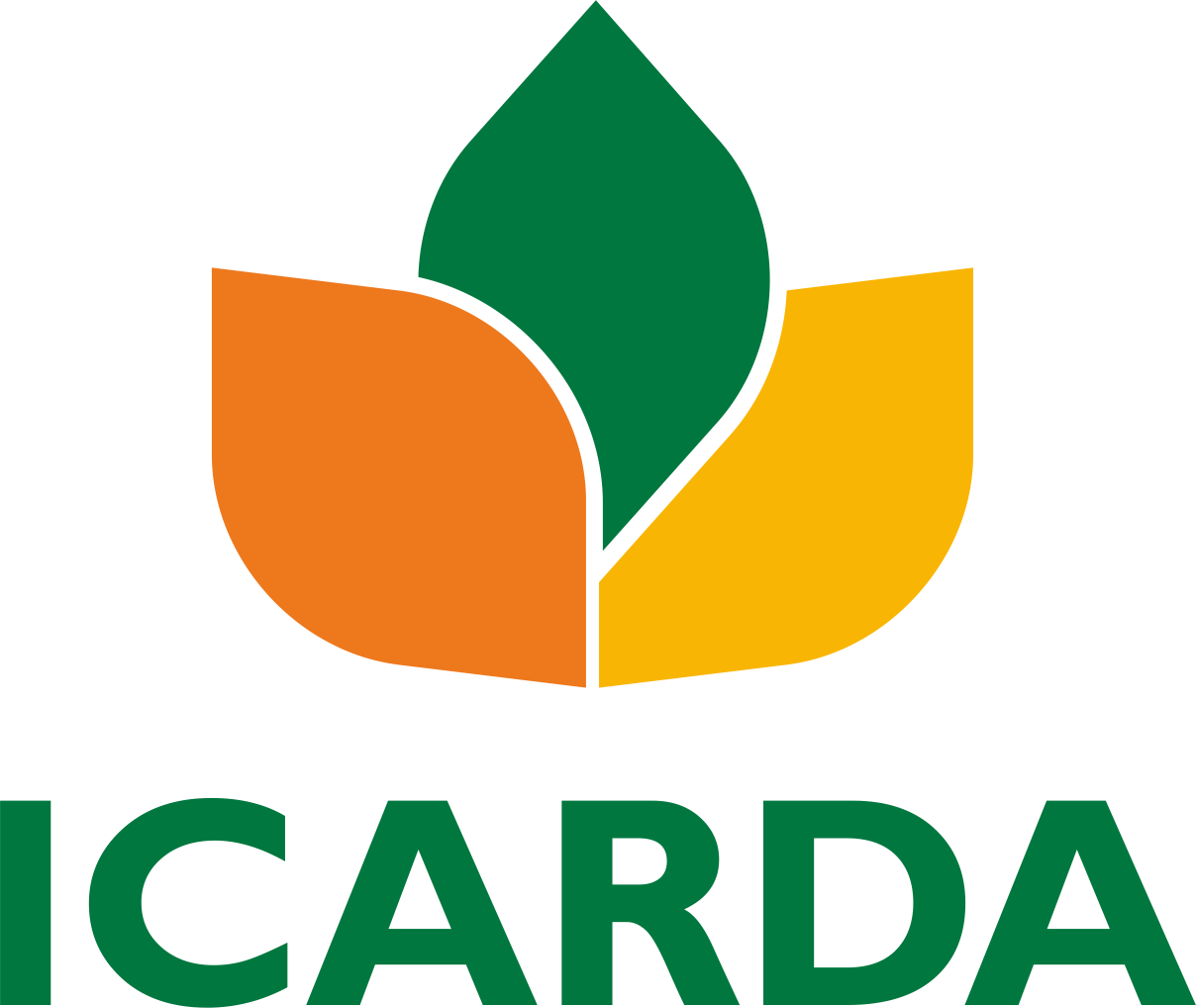 I C A R D A Logo Image PNG image