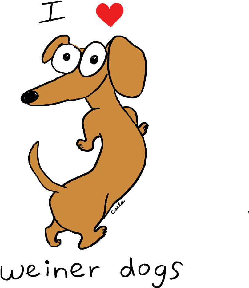I Love Weiner Dogs Cartoon PNG image
