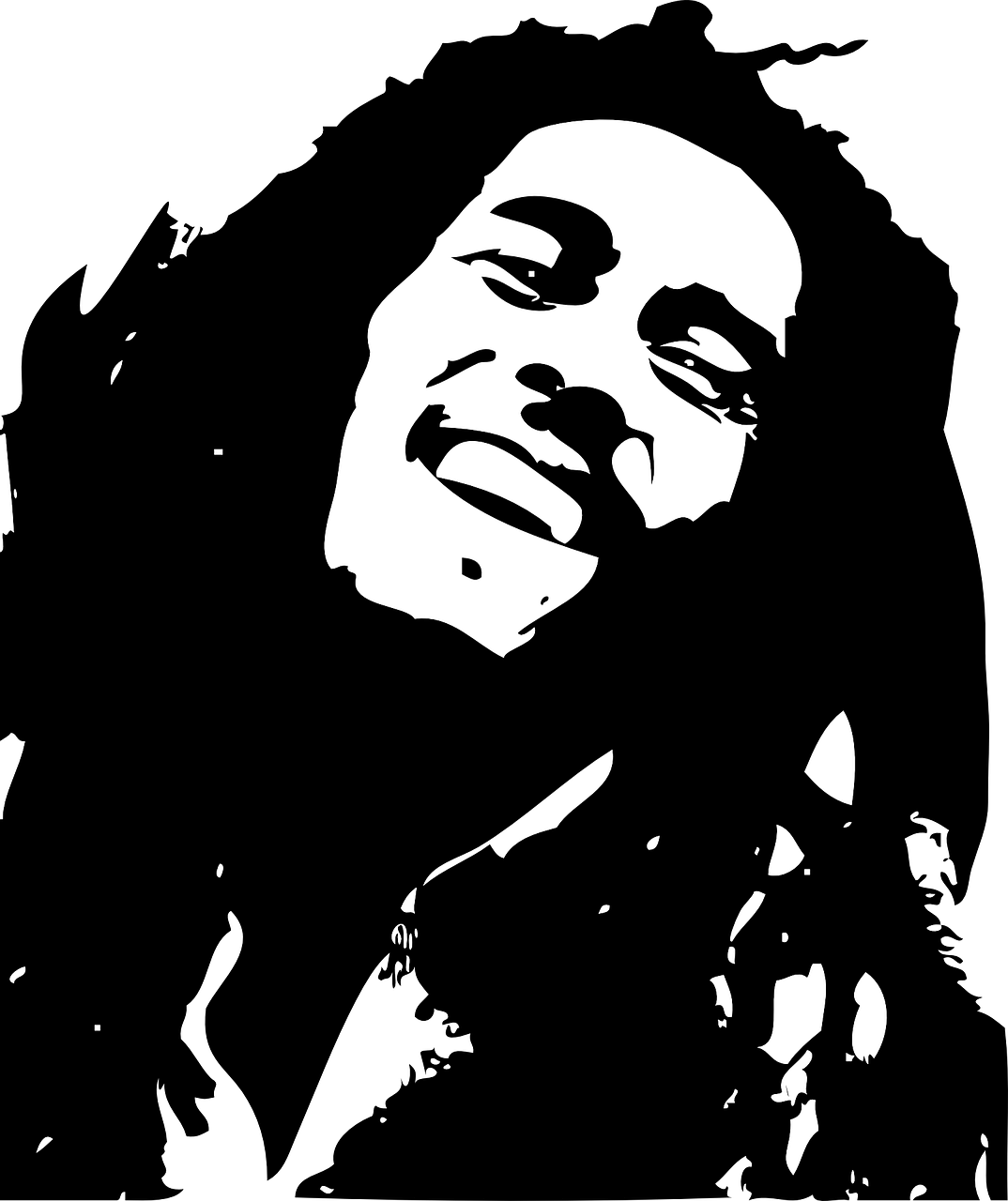 Iconic Reggae Artist Vector PNG image