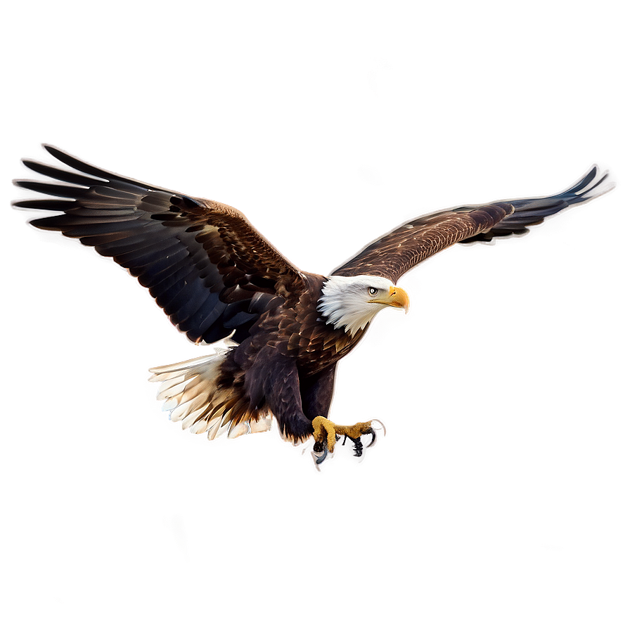 Idaho Bald Eagle Flight Png 06122024 PNG image