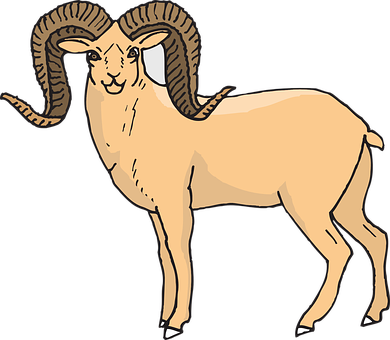 Illustrated Bighorn Sheep PNG image