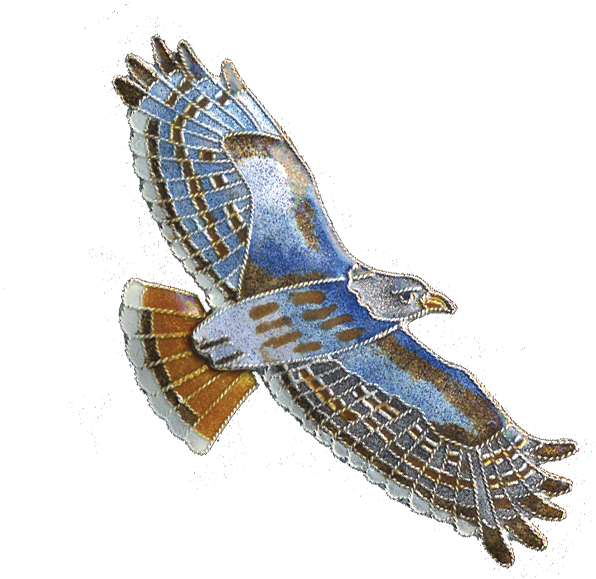 Illustrated Blue Hawkin Flight PNG image