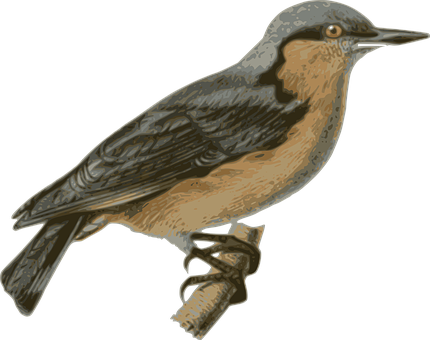 Illustrated Brown Bird Perched PNG image