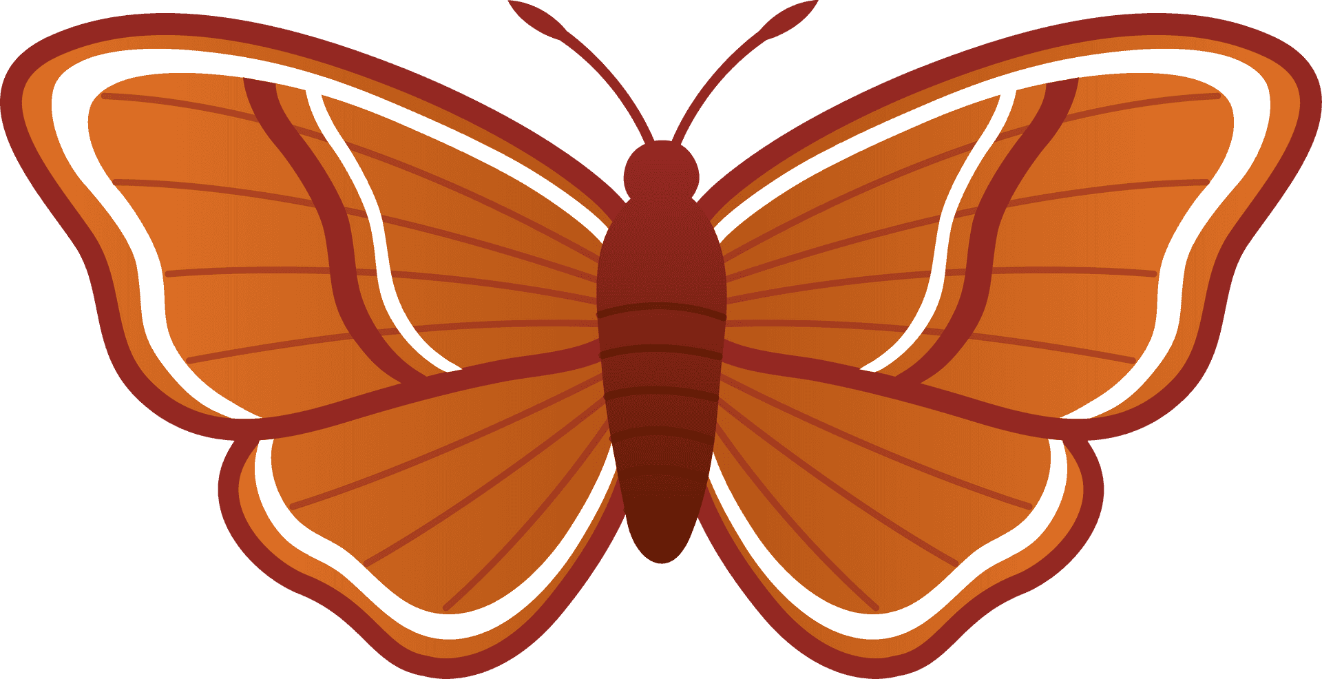 Illustrated Brown Moth Graphic PNG image