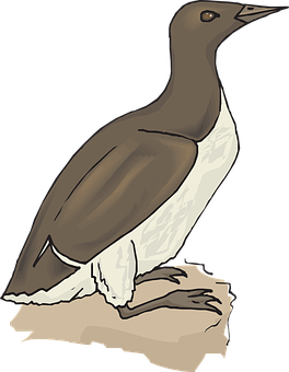 Illustrated Brownand White Bird PNG image