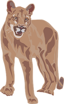 Illustrated Cougar Standing PNG image