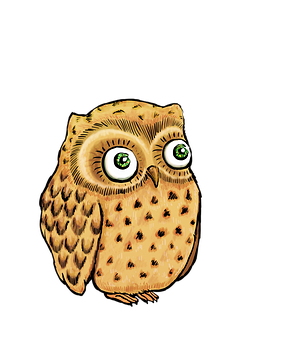 Illustrated Cute Owl PNG image