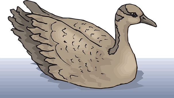 Illustrated Duckon Water PNG image