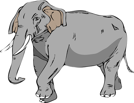 Illustrated Gray Elephant Graphic PNG image