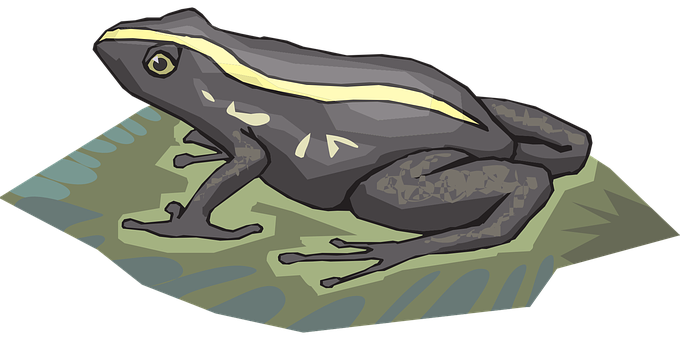 Illustrated Grey Frog On Leaf PNG image