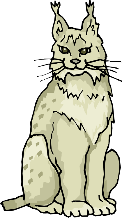 Illustrated Lynx Sitting PNG image