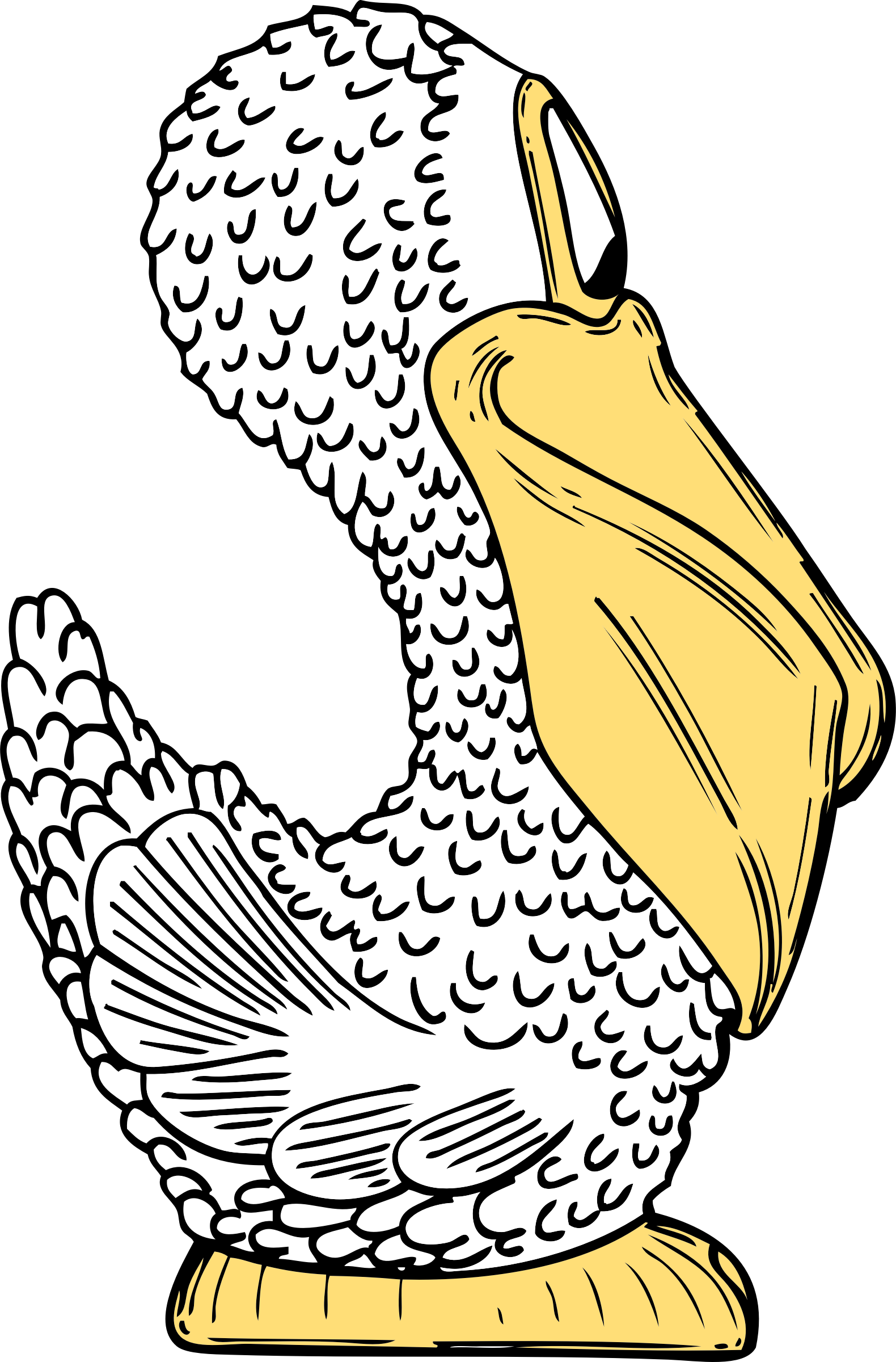Illustrated Pelican Profile PNG image