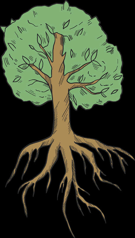 Illustrated Treewith Visible Roots PNG image