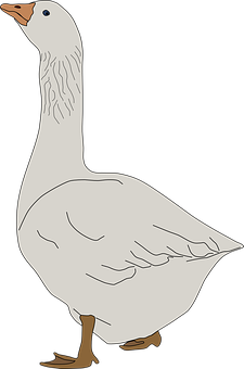 Illustrated White Goose PNG image