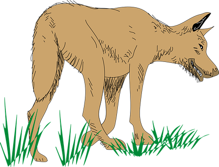 Illustrated Wolfin Grass PNG image
