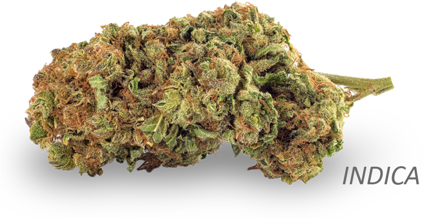 Indica Cannabis Nugget PNG image