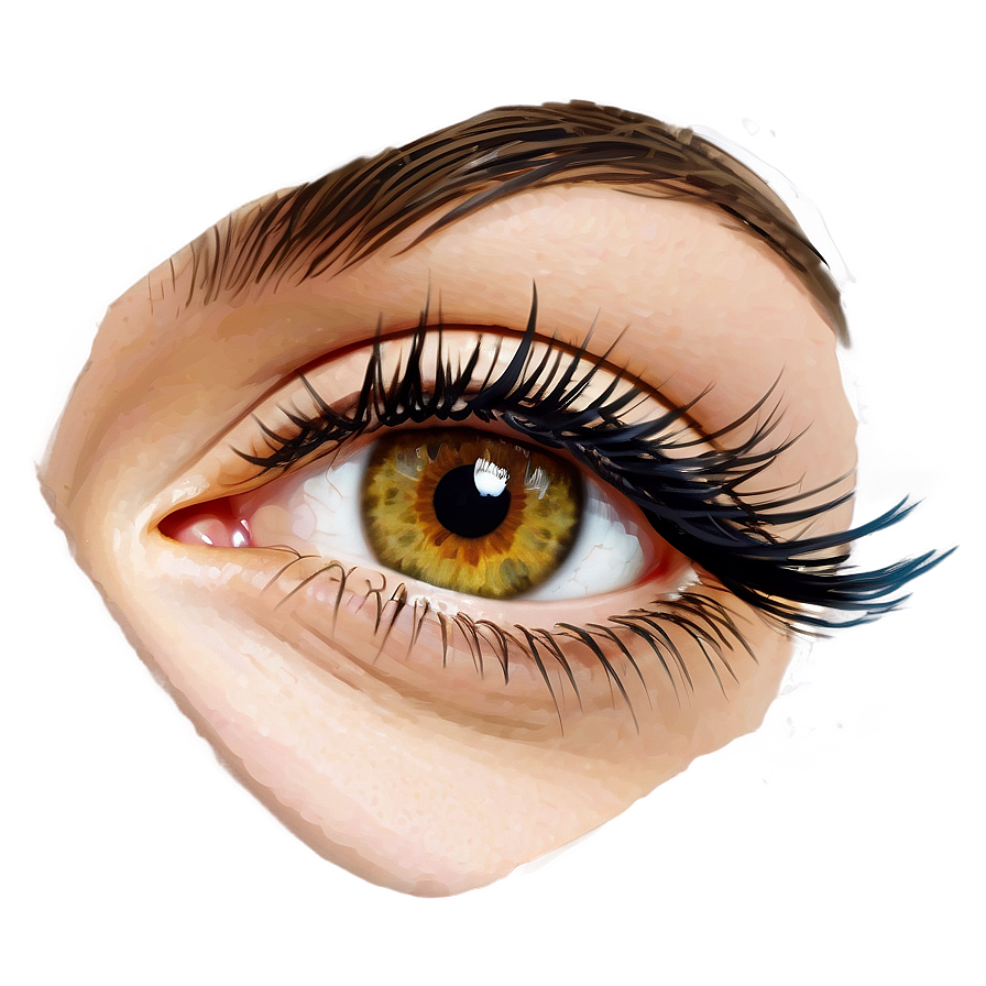 Individual Eyelash Extensions Png 06272024 PNG image