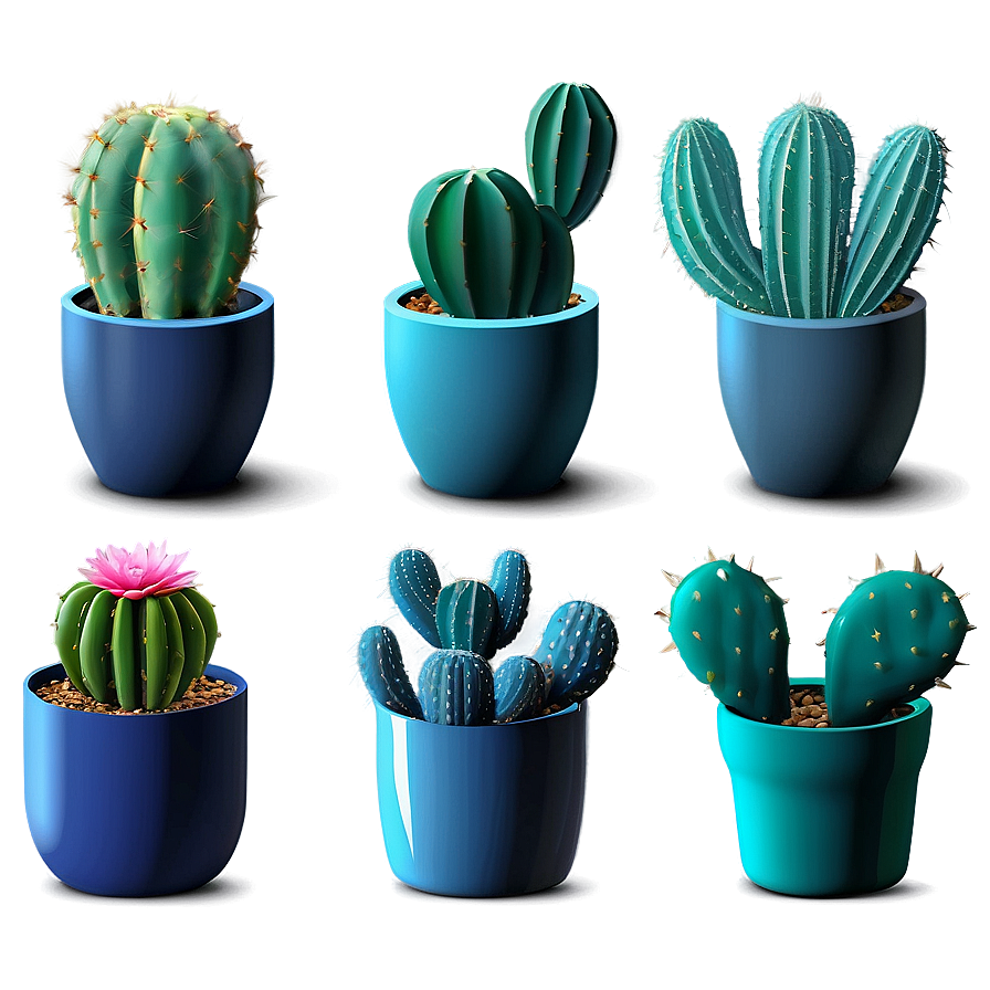 Indoor Cactus Collection Png 36 PNG image