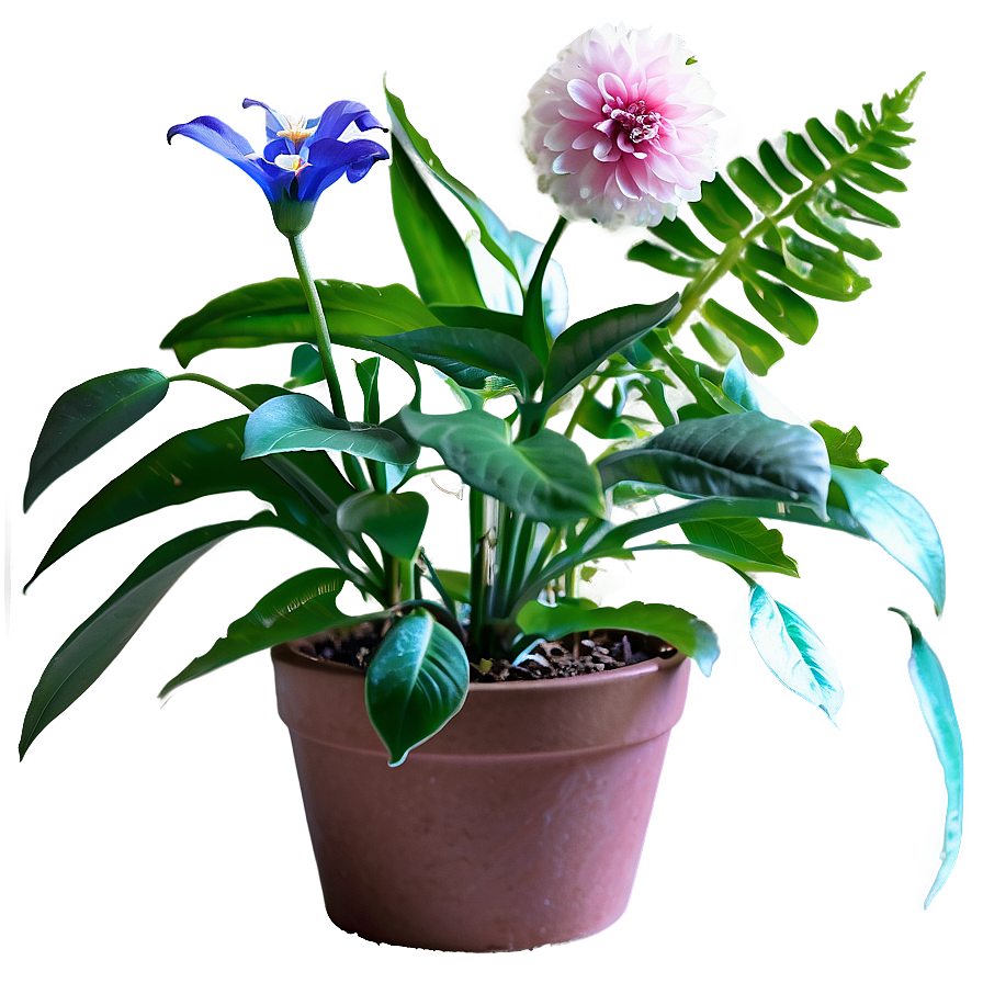 Indoor Flowering Plants Png 22 PNG image