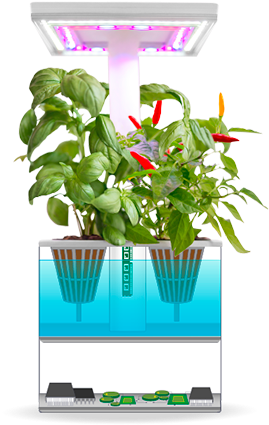 Indoor Hydroponic Garden System PNG image